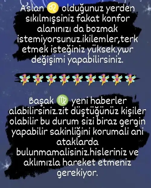 h11 (3).webp