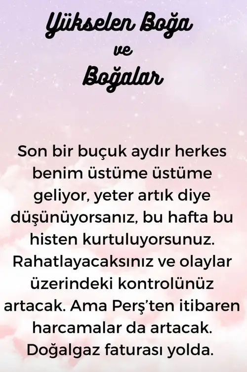 h11 (3).webp