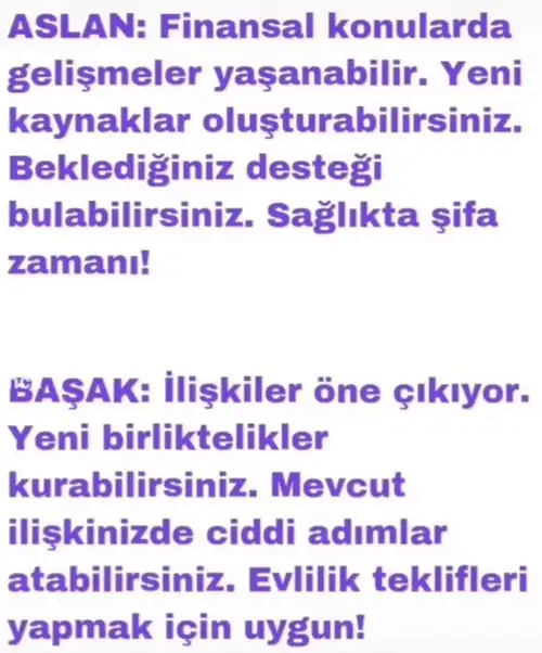 h11 (3).webp