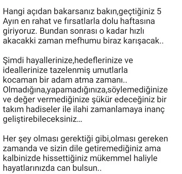 h11 (4).webp