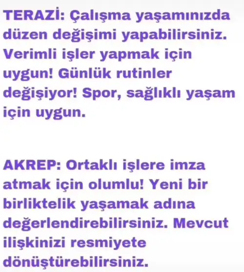 h11 (4).webp