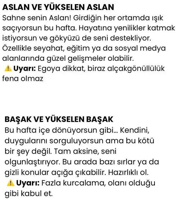 h11 (4).webp