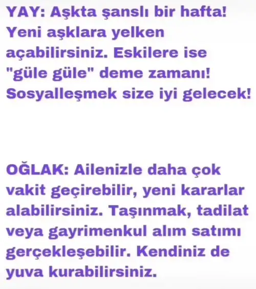 h11 (5).webp
