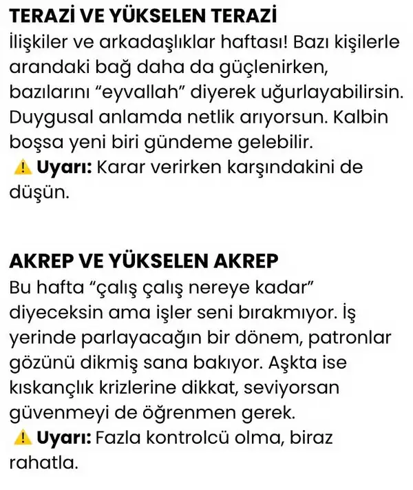 h11 (5).webp