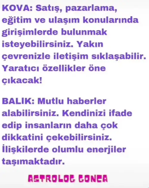 h11 (6).webp