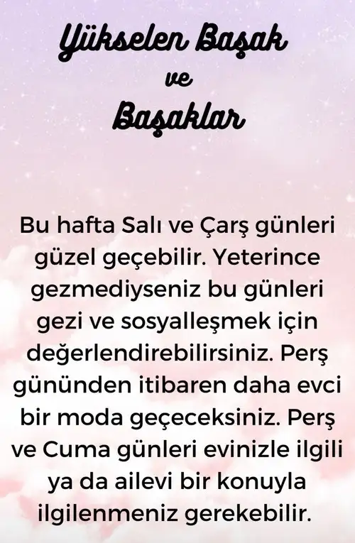 h11 (7).webp