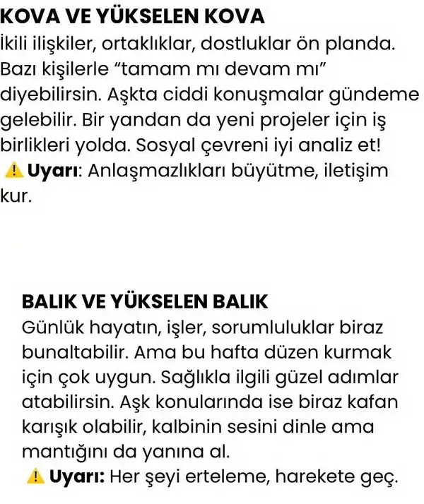 h11 (7).webp