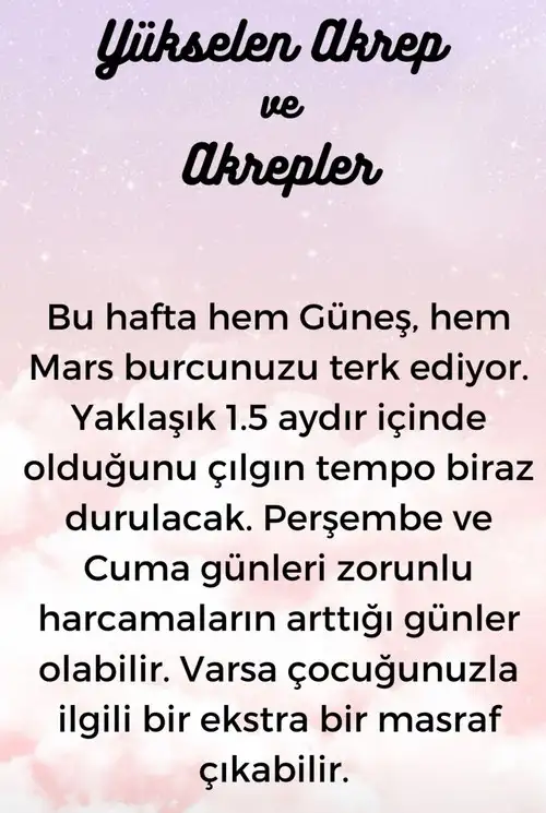 h11 (9).webp