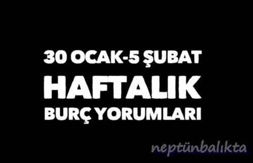 h12 (1).webp