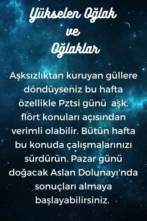 h12 (11).webp