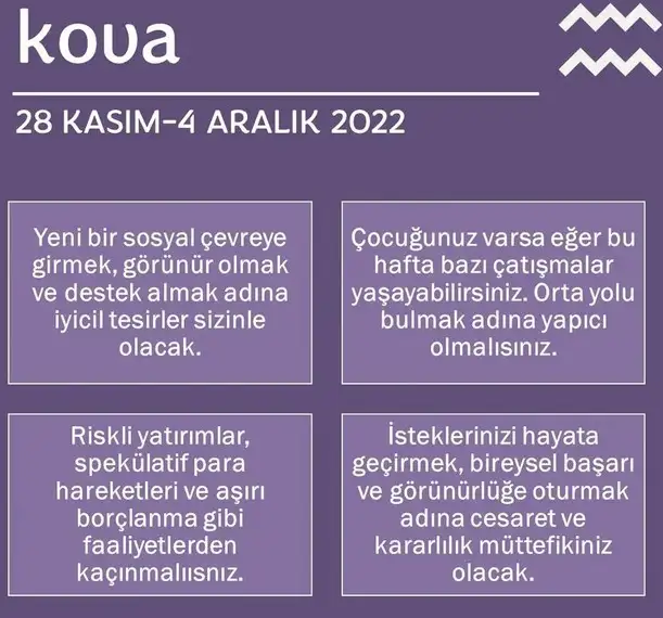 h12 (12).webp