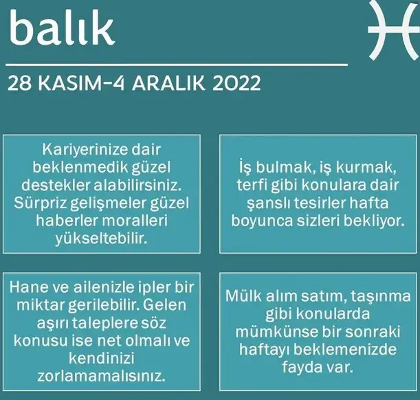 h12 (13).webp