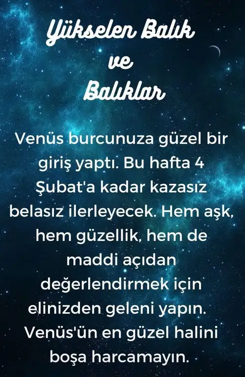 h12 (13).webp