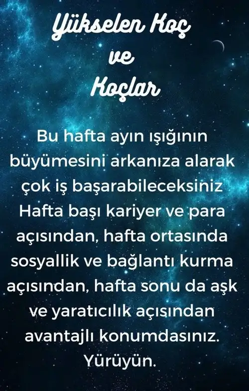 h12 (2).webp