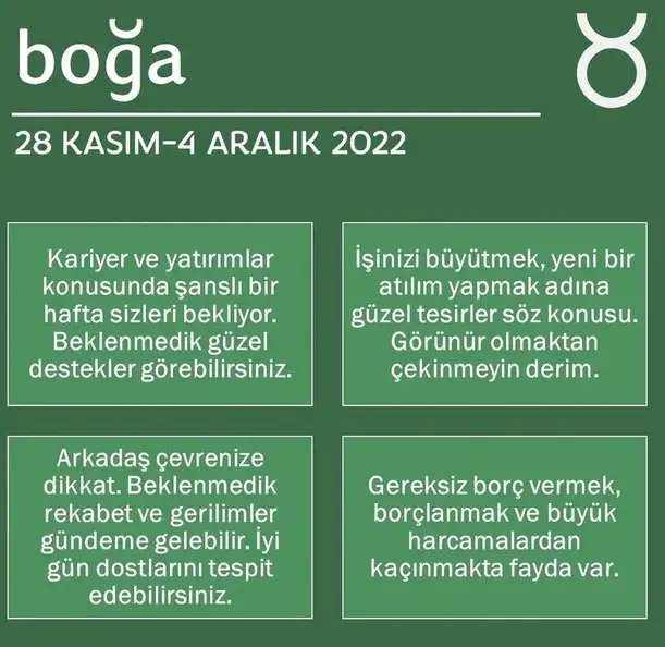 h12 (3).webp