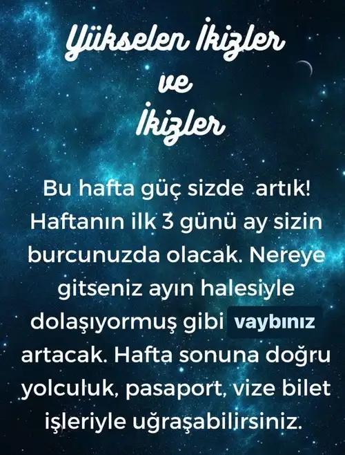 h12 (3).webp