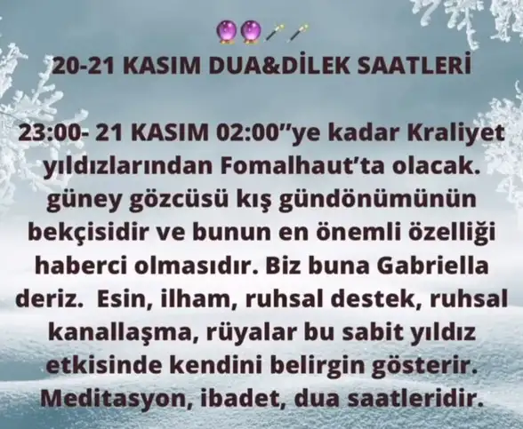 h12 (3).webp