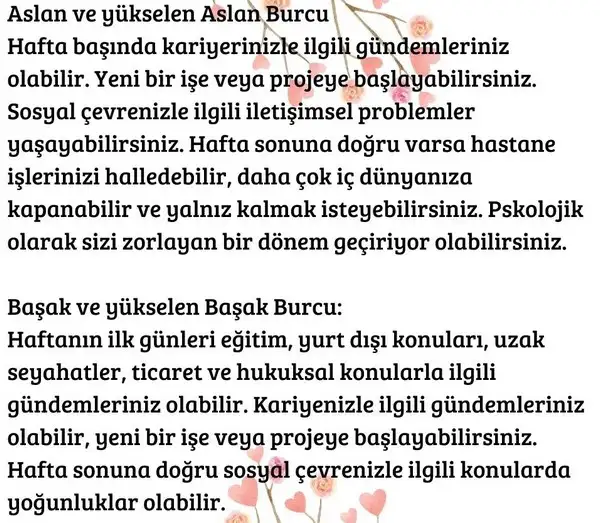 h12 (4).webp