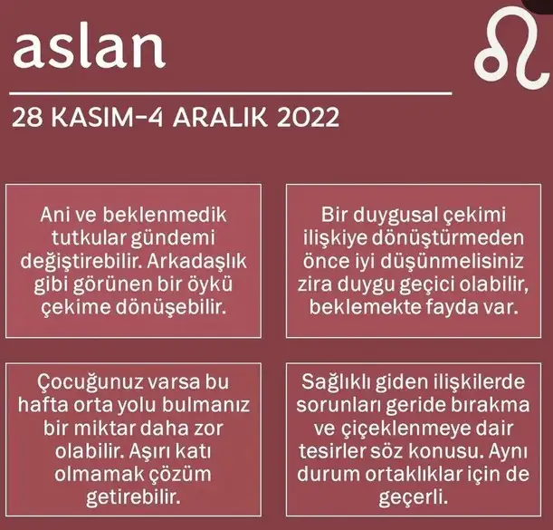 h12 (6).webp