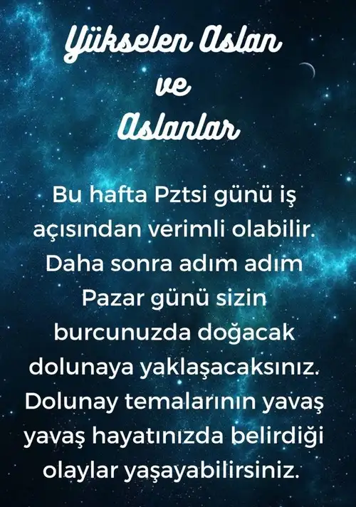 h12 (6).webp
