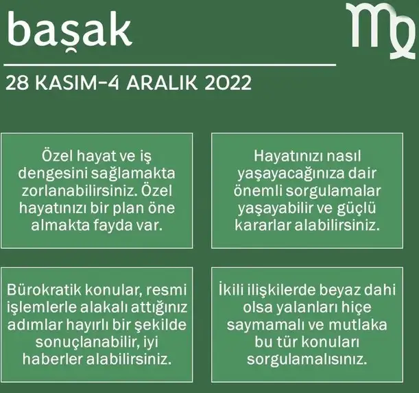 h12 (7).webp