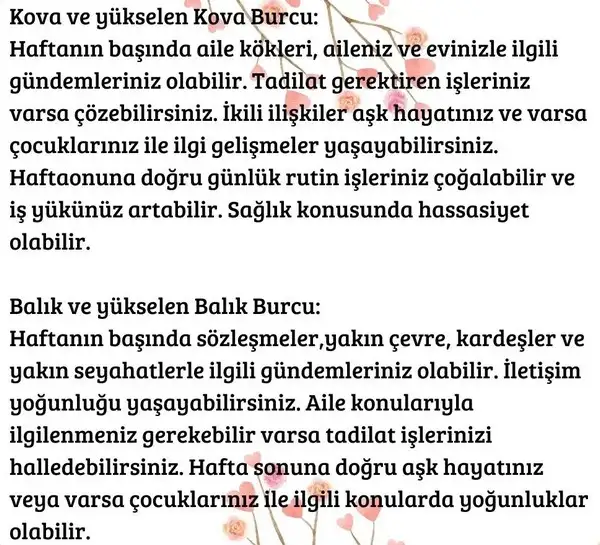 h12 (7).webp