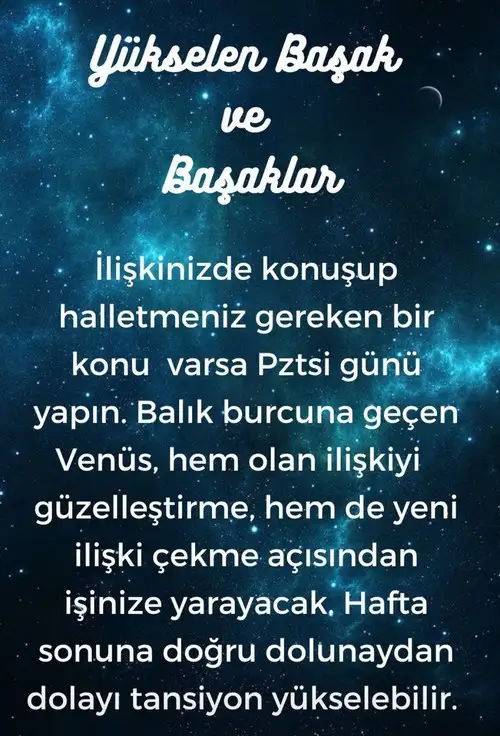 h12 (7).webp