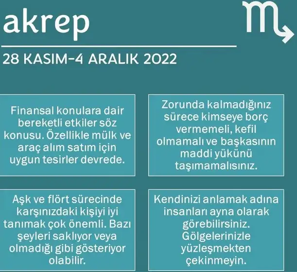h12 (9).webp