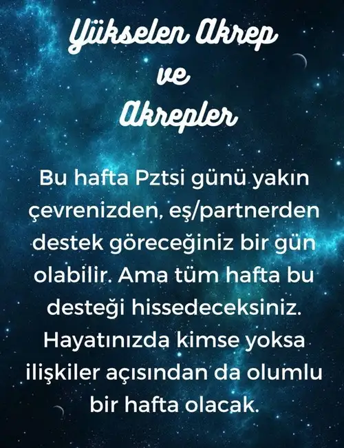 h12 (9).webp