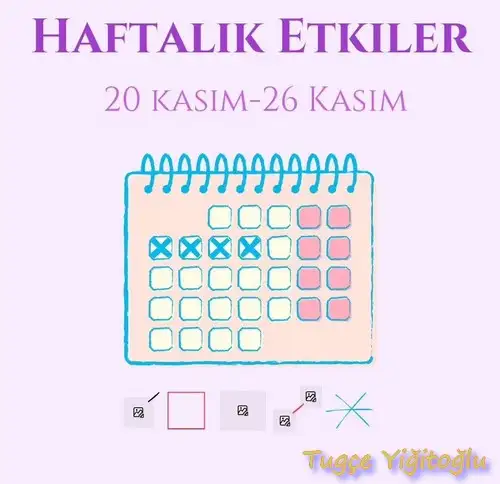 h13 (1).webp