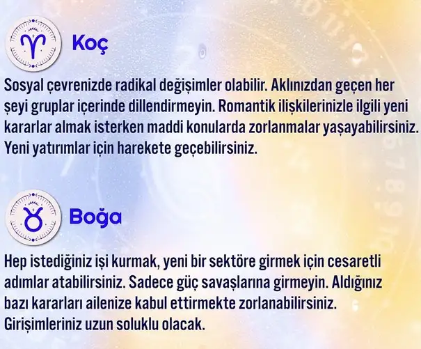h13 (1).webp