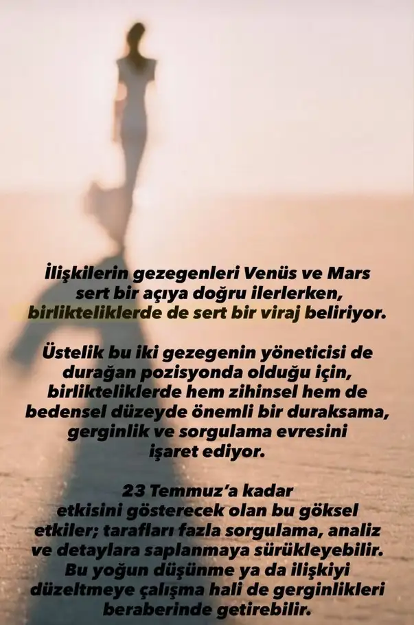 h13 (1).webp