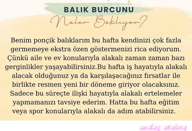 h13 (12).webp