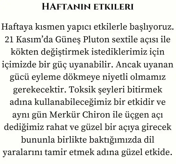 h13 (2).webp