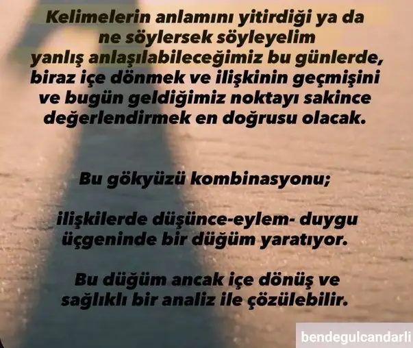h13 (3).webp