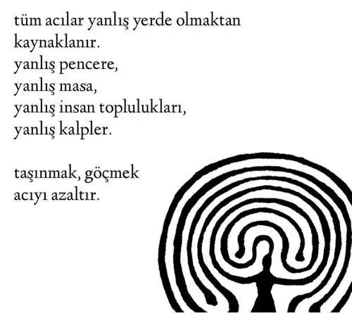 h13 (4).webp