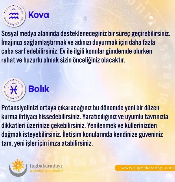 h13 (6).webp