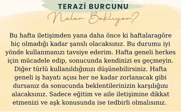 h13 (7).webp