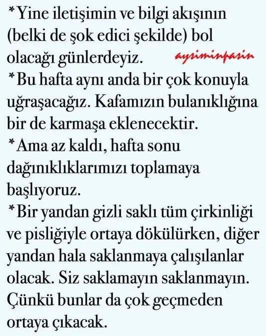h14 (2).webp