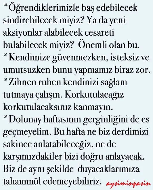 h14 (3).webp