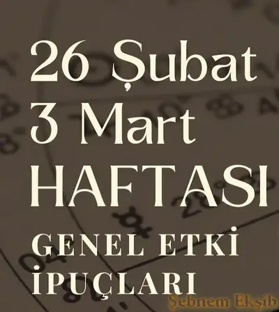 h15 (1).webp
