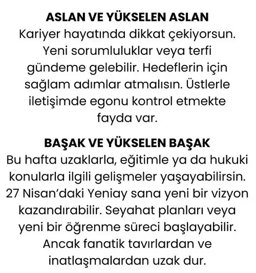h15 (4).webp