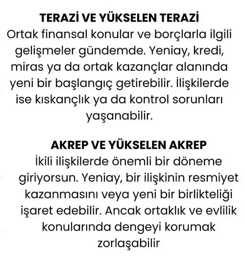 h15 (5).webp