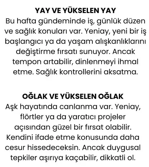 h15 (6).webp
