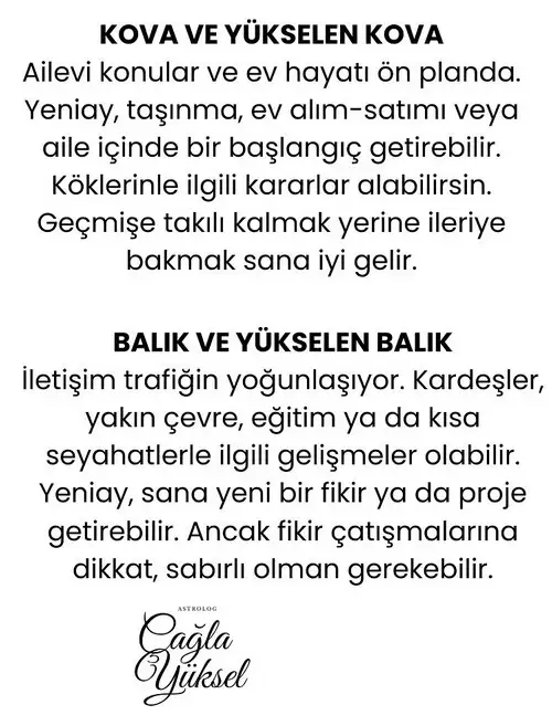 h15 (7).webp
