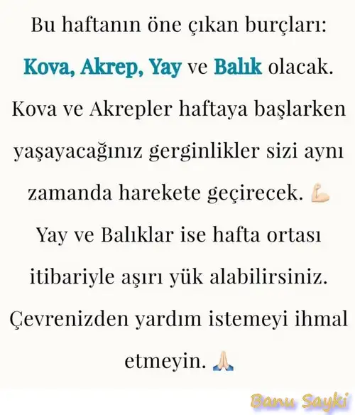 h15.webp