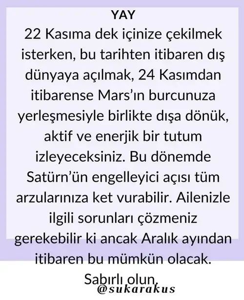 h16 (10).webp