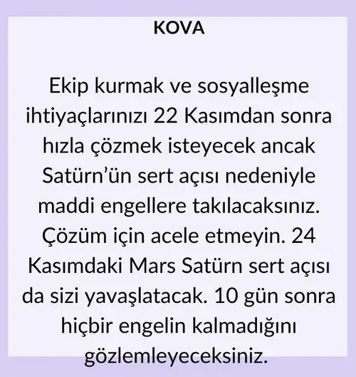 h16 (12).webp
