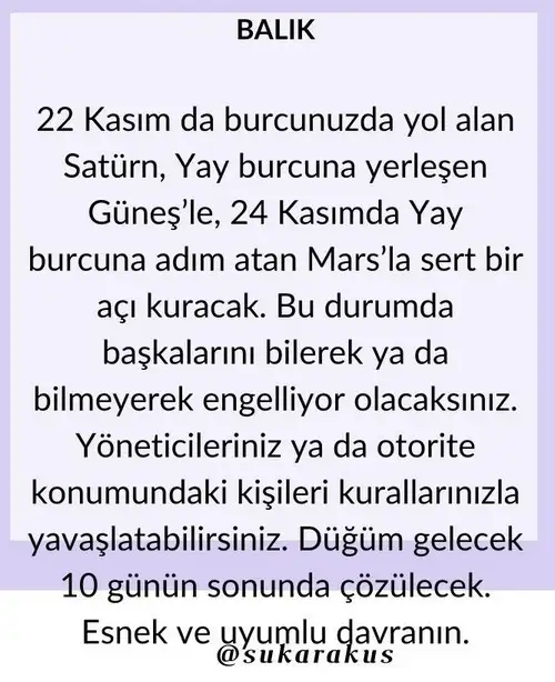 h16 (13).webp