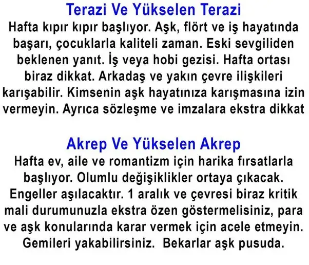 h16 (4).webp